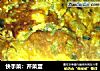快手菜：芹菜蛋的做法