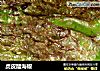 虎皮醋海椒的做法