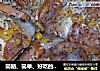 简陋、简单、好吃的批萨——我的厨房一宝的做法