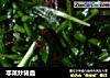 非菜炒猪血的做法