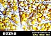 香甜玉米酪的做法