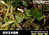 凉拌玉米面条的做法