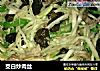 茭白炒肉丝的做法