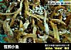 慢煎小鱼的做法