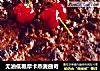 无油低糖摩卡燕麦曲奇的做法
