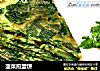 菠菜煎蛋饼的做法