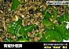 青椒炒螺狮的做法
