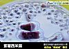 紫薯西米露的做法