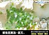 鲫鱼豆腐汤--夏天滋润汤的做法