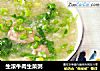 生滚牛肉生菜粥的做法