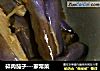 碎肉茄子---家常菜的做法