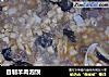 自制羊肉泡馍的做法