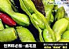 世界杯必备--卤毛豆的做法