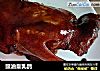 豉油皇乳鸽的做法