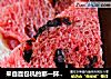 来自面包机的那一抹清凉——西瓜面包的做法
