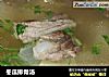 冬瓜排骨汤的做法