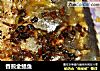 香煎金鲳鱼的做法