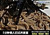 5分钟懒人日式荞麦面的做法