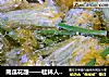 南瓜花酿——桂林人的私房菜的做法
