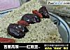 吉星高照——红糖豆渣松糕的做法
