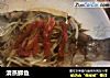 清蒸鲫鱼的做法
