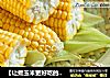 【让煮玉米更好吃的小窍门】煮玉米的做法