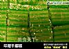 印尼千层糕的做法
