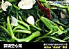 蒜烧空心菜的做法