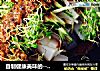 自制健康美味的---绿豆凉粉的做法