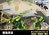 鲫鱼浓汤的做法