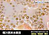 椰汁西米水果捞的做法