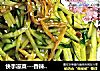 快手凉菜---香辣金针菇拌黄瓜的做法