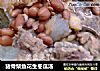 猪骨柴鱼花生冬瓜汤的做法