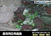 酸菜炖白肉血肠的做法