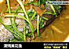 清炖黄花鱼的做法