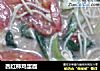 西红柿鸡蛋面的做法