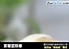 紫薯蛋糕卷的做法