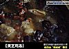 【灵芝鸡汤】的做法
