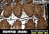 香酥烤鸡翅（糟卤版）的做法