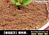 【番茄配方】樱桃慕斯盆栽——浪漫情人节送给心爱的人的做法