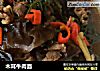 木耳牛肉面的做法