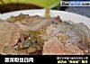 酸菜粉丝白肉的做法