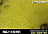 南瓜小米海参粥的做法