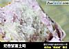 奶香紫薯土司的做法