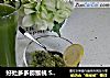 好处多多猕猴桃 SKG9999原汁机食谱的做法