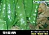 荷兰豆炒肉的做法