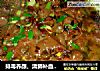 排毒养颜、清肺补血－红烧猪血的做法