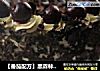 【番茄配方】黑森林芝士蛋糕——美味与经典的结合的做法