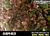 尖椒牛肉沫的做法