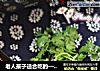 老人孩子适合吃的——虾饼的做法